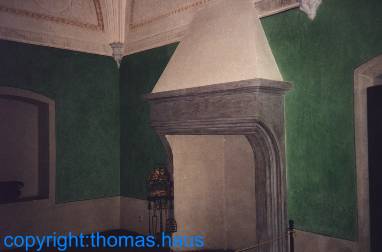 Gruener Salon mit Kamin